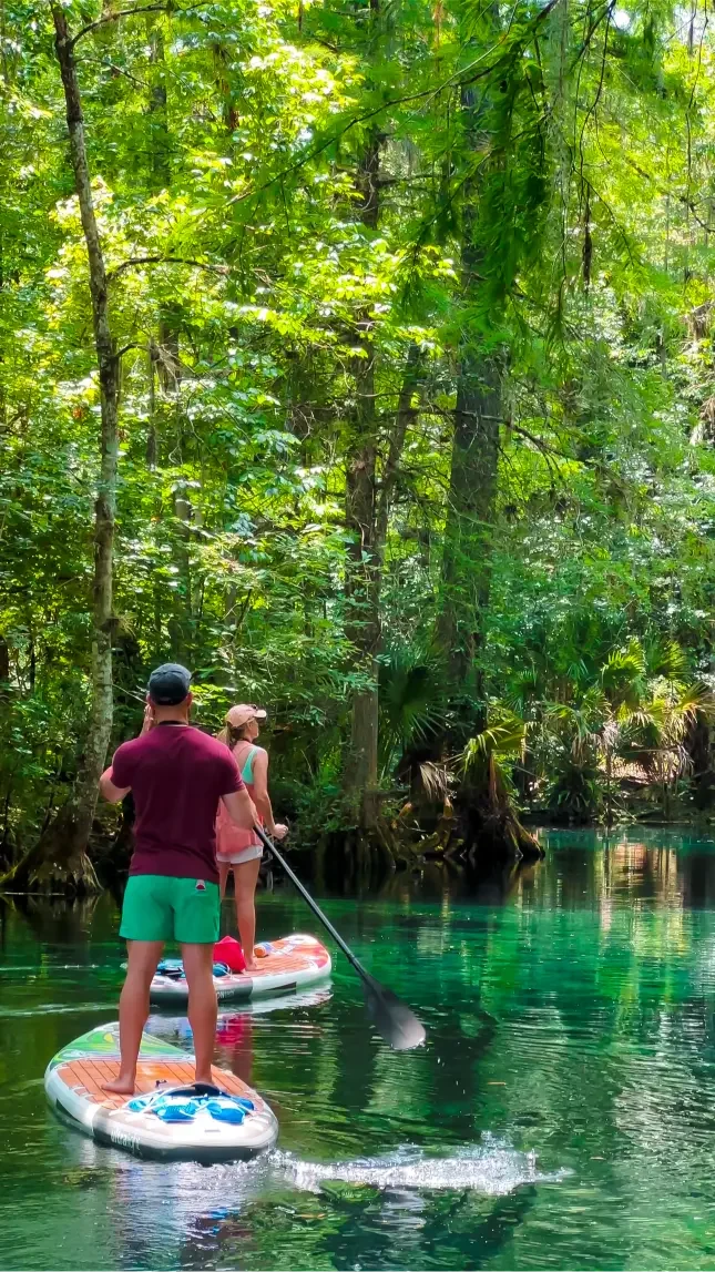 Explore the waters of Silver Springs with Otter Paddle Orlando. 