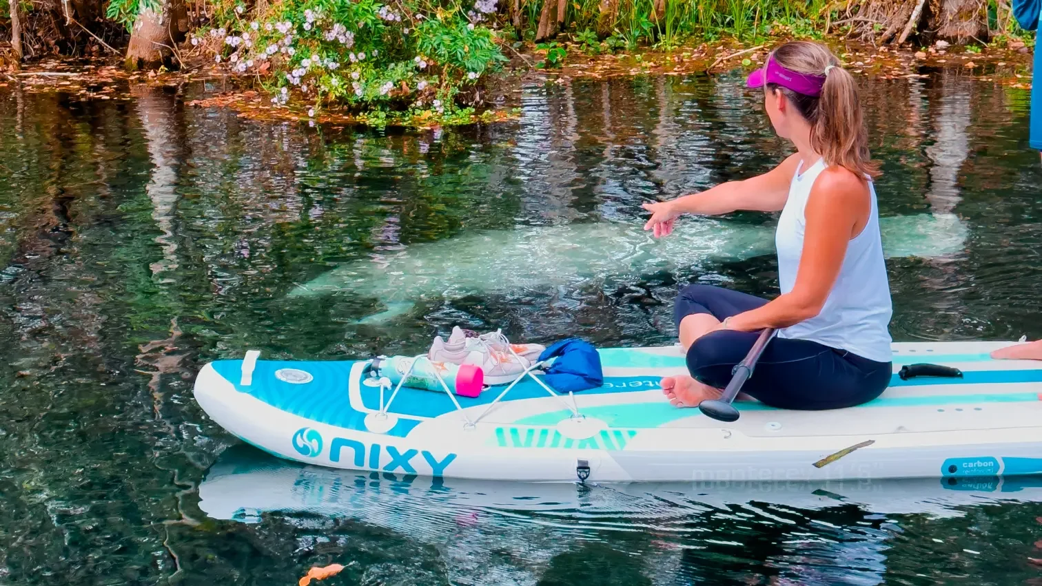 Paddle with Otter Paddle Orlando at Silver Springs to see manatees. 