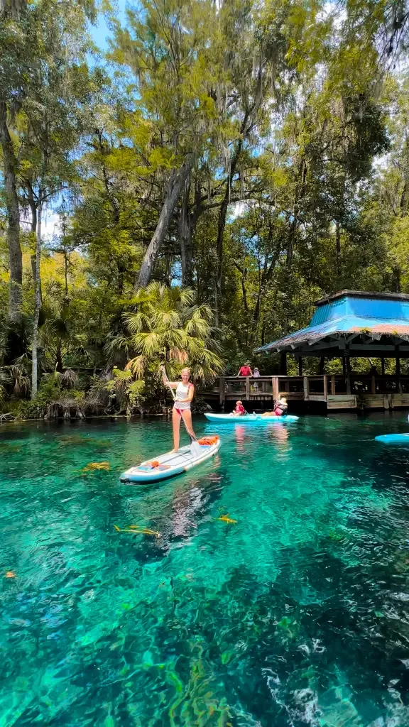 Paddleboarding on clear blue water at Silver Springs with Otter Paddle Orlando. 