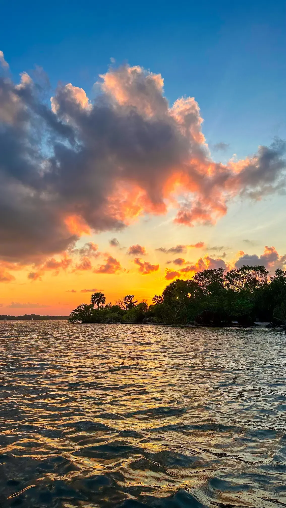 Merritt Island Sunset Tours Paddle Adventure