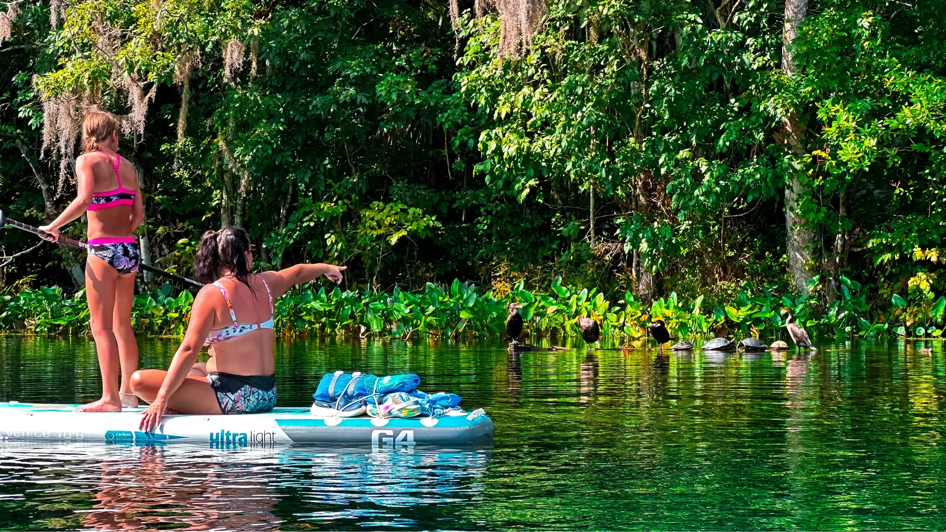 Family paddle boarding tours with Otter Paddle Orlando at Silver Springs State Park. 