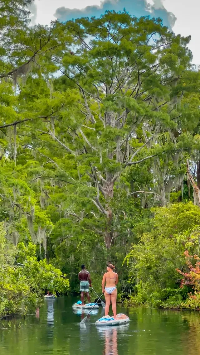 Winter Park Chain of Lakes paddle tours with Otter Paddle Orlando. 