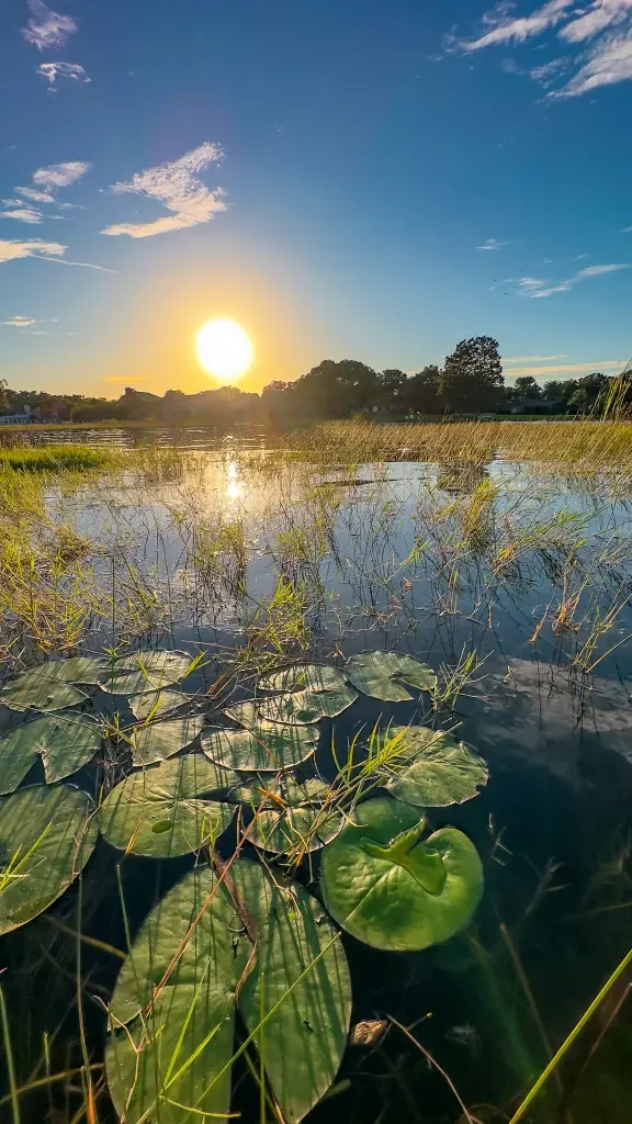 Paddle Lake Conway with Otter Paddle Orlando just minutes from downtown Orlando.