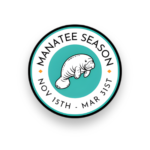 Manatee Season with Otter Paddle Orlando. Come paddleboard with manatees, the perfect family-friendly adventure in Florida at Silver Springs State Park.