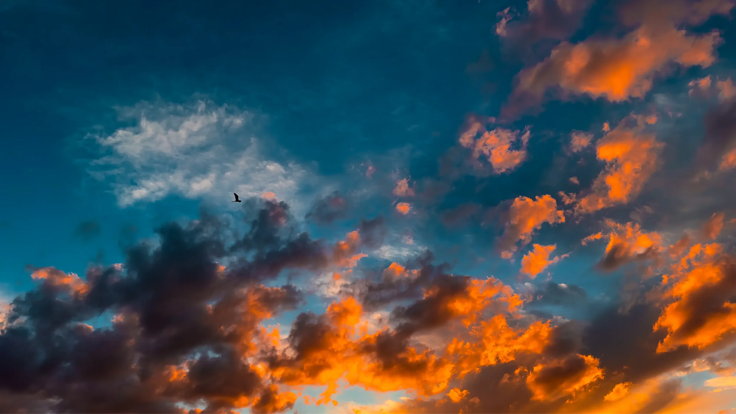 The best sunset tours on Winter Park Chain of Lakes with Otter Paddle Orlando