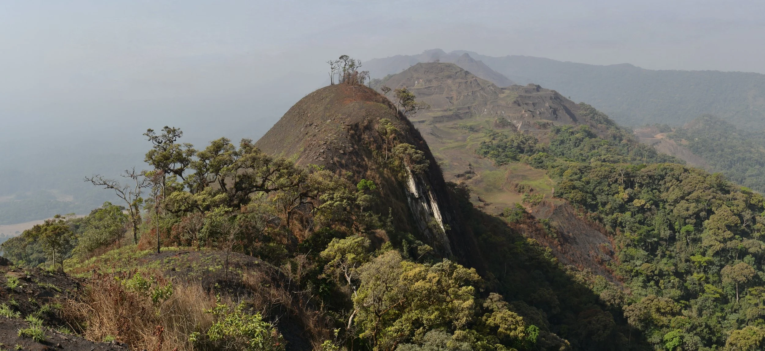 Nima Nature Reserve, Liberia. Mount Nimba, Yekepa Liberia