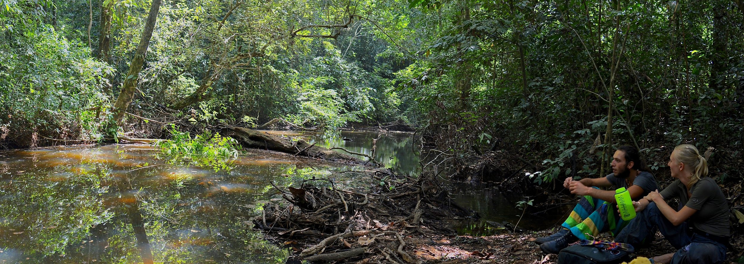 Gola Rainforest. Sierra Leone.