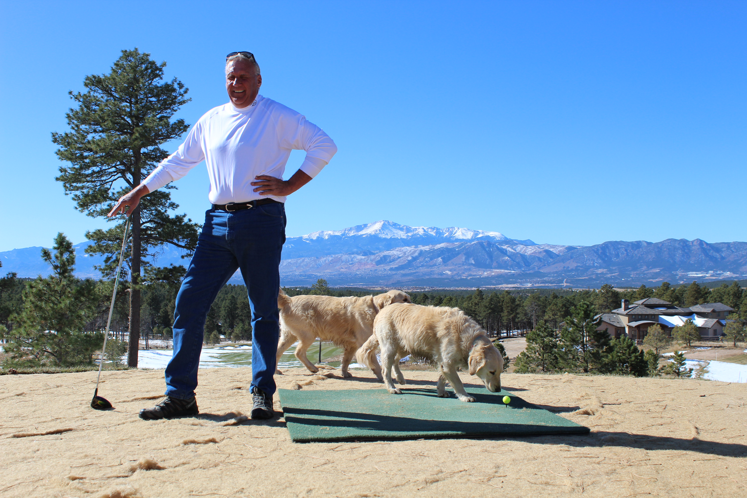 Smith - Tee with Dogs.png