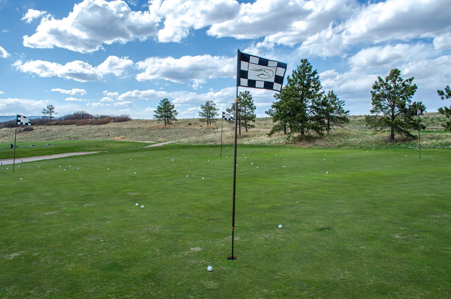 A golf driving range with multiple golf balls scattered across the green grass, four golf flags with checkered patterns and a fish symbol, and a backdrop of trees under a cloudy blue sky.