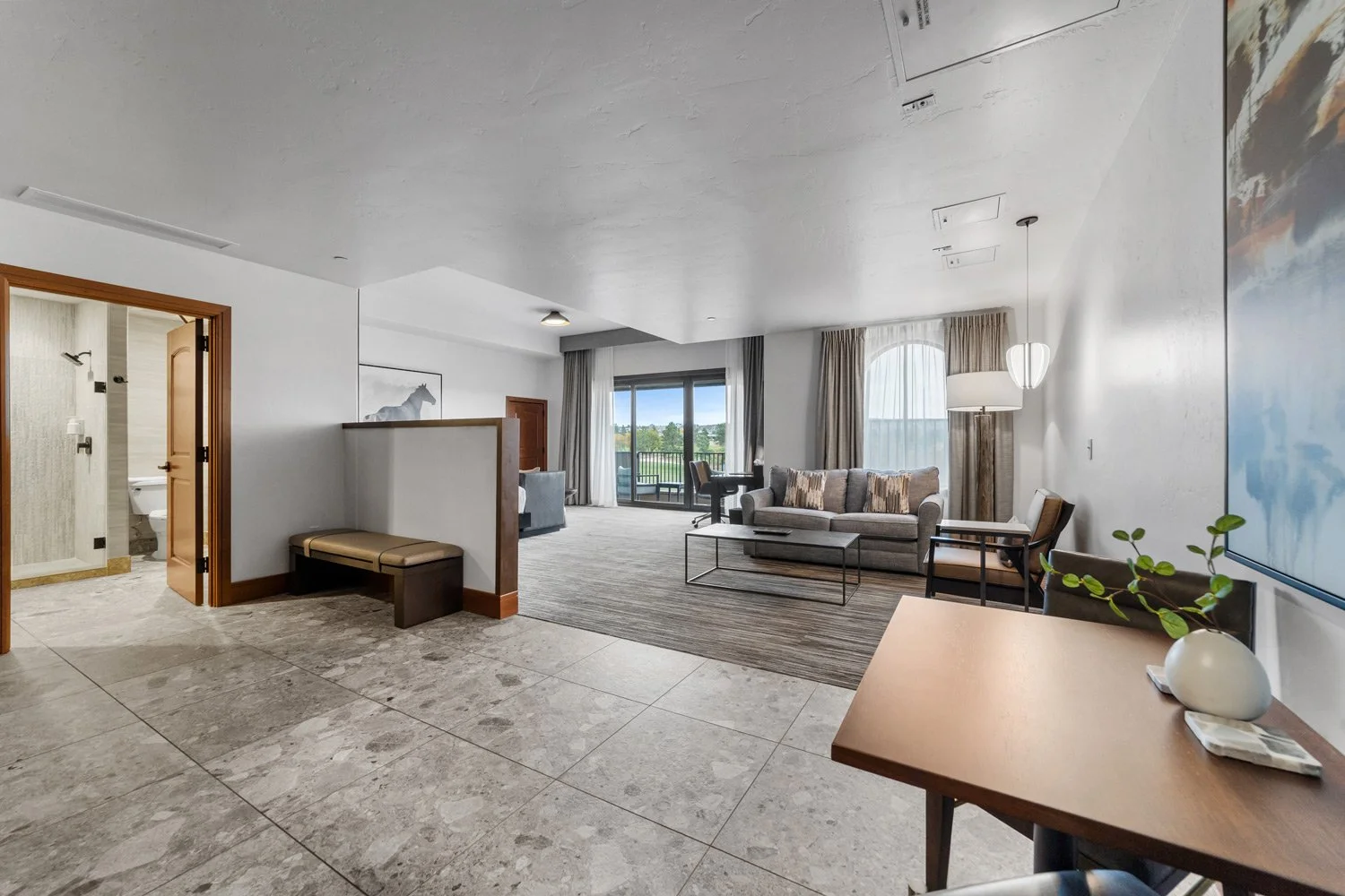 large academy suite with pull-out couch bed