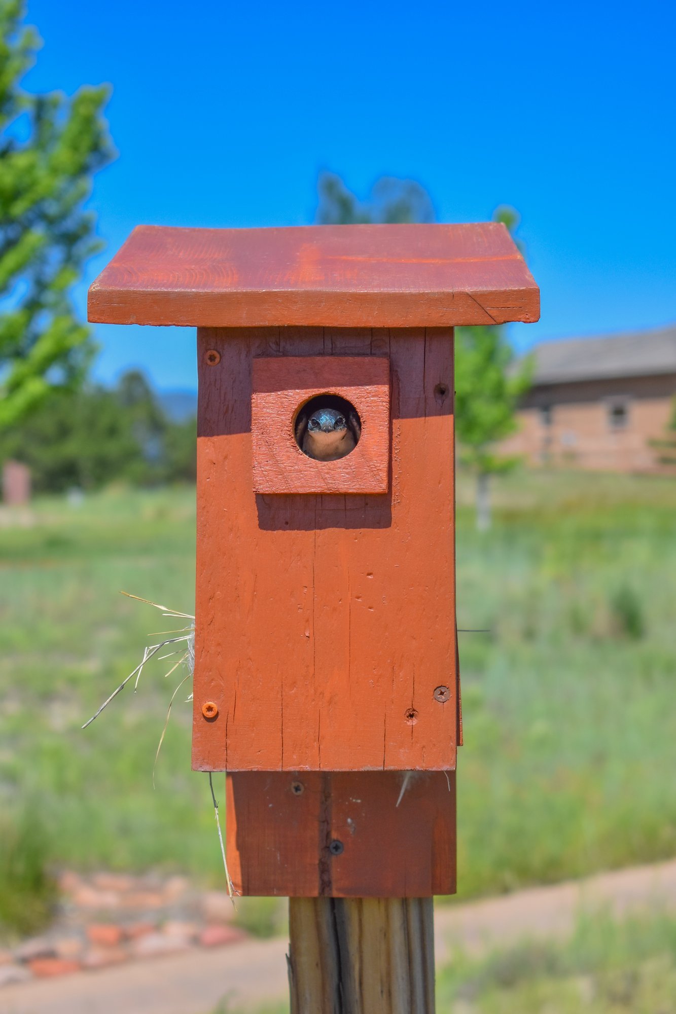 audubon certified course