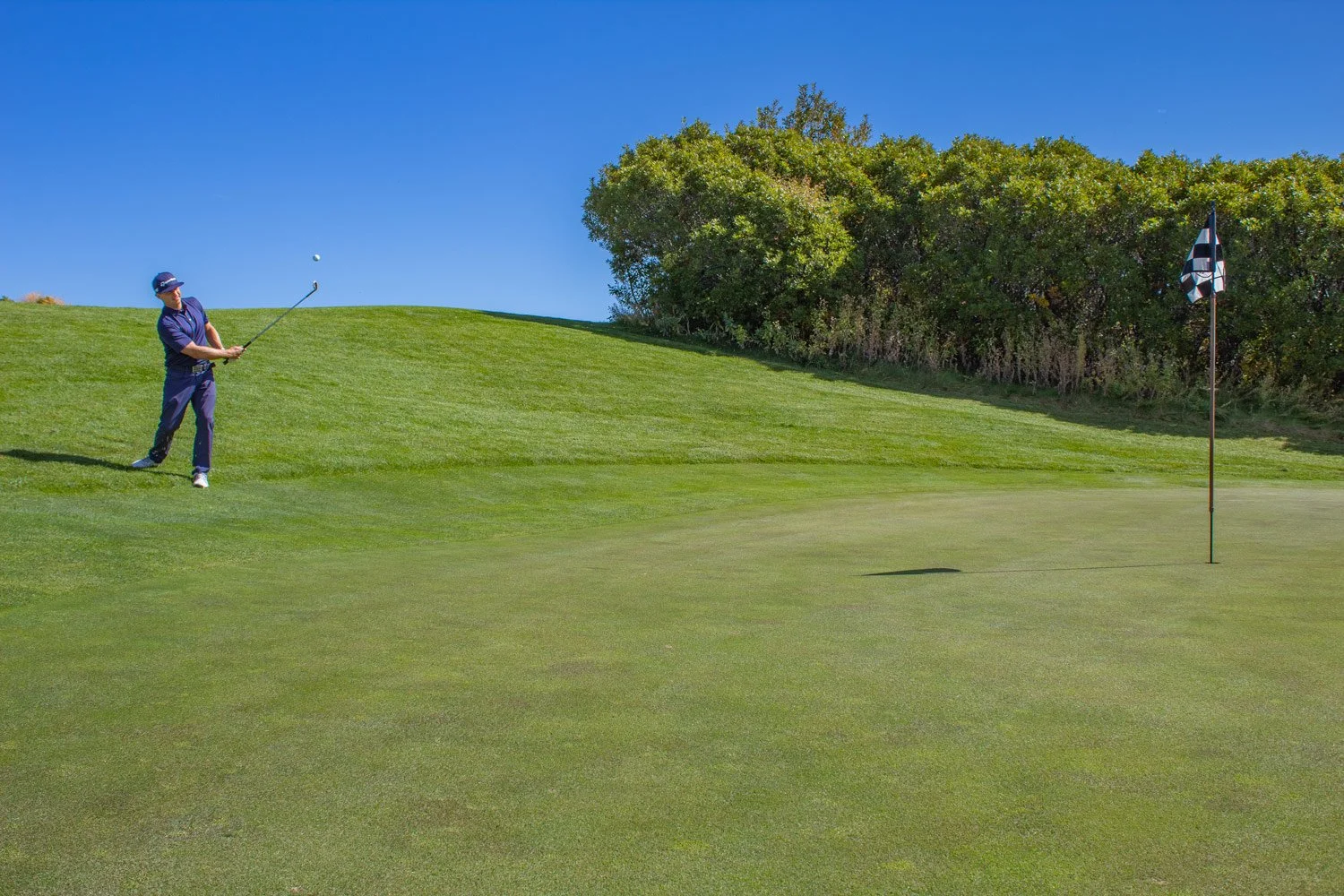 A golfer in navy blue pants and shirt taking a shot on a golf course, with a green, a flagstick near the hole, and trees against a bright blue sky.