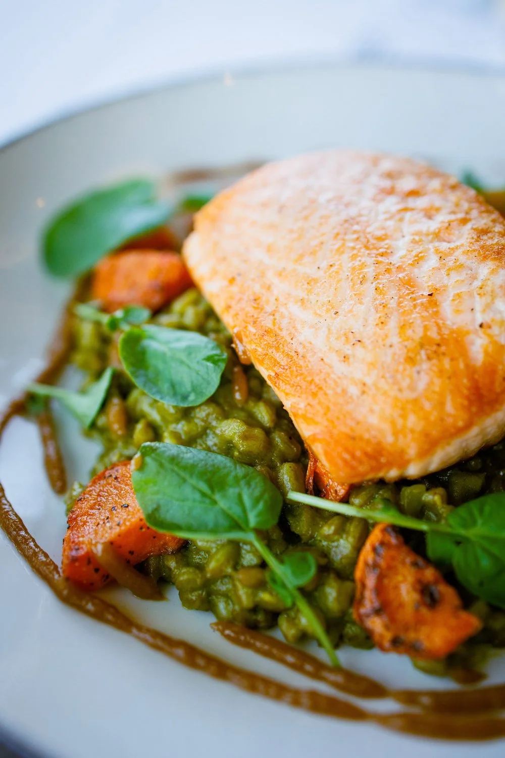 skuna bay salmon specialty plate