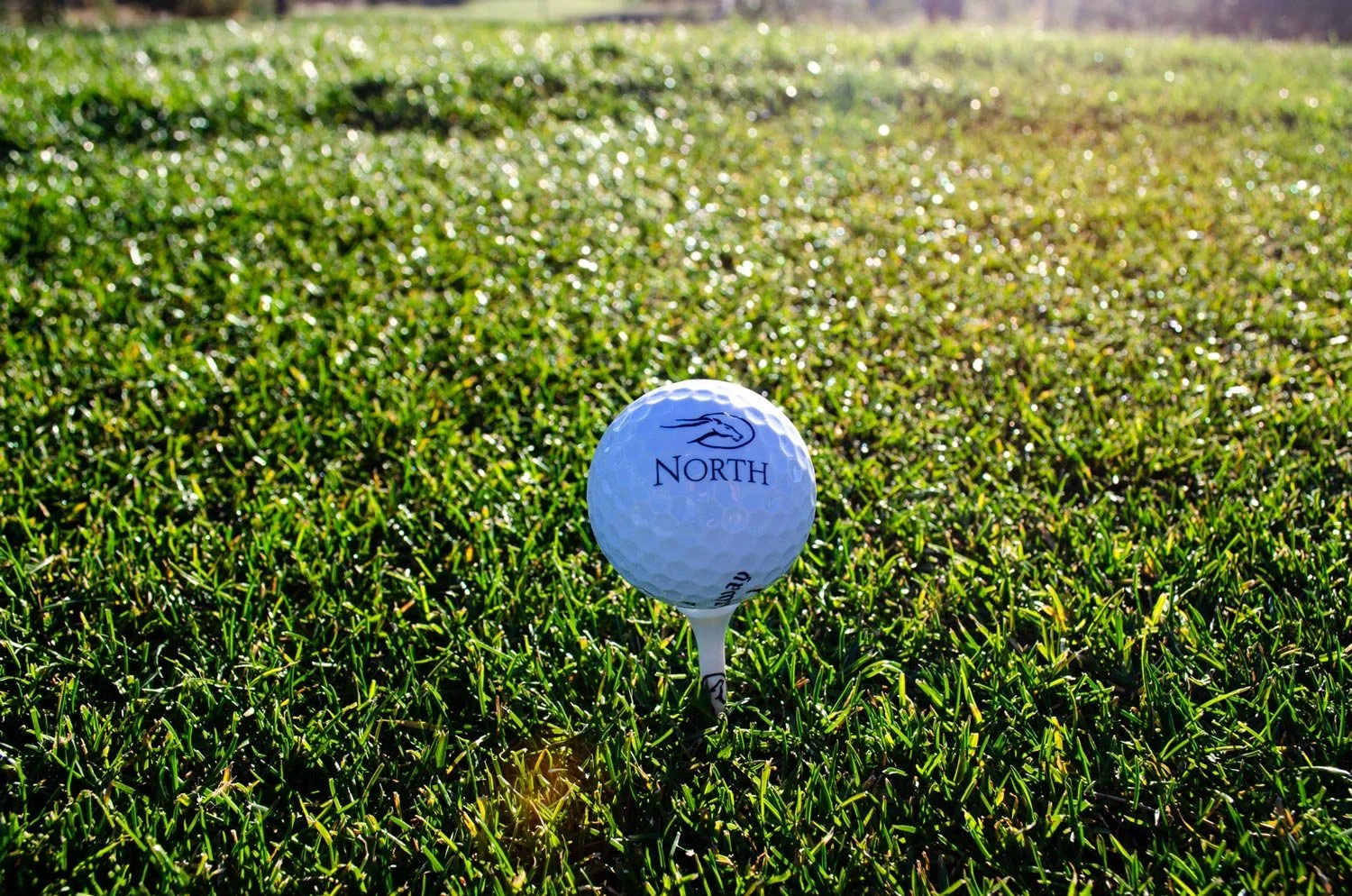 golf ball at flying horse north golf course