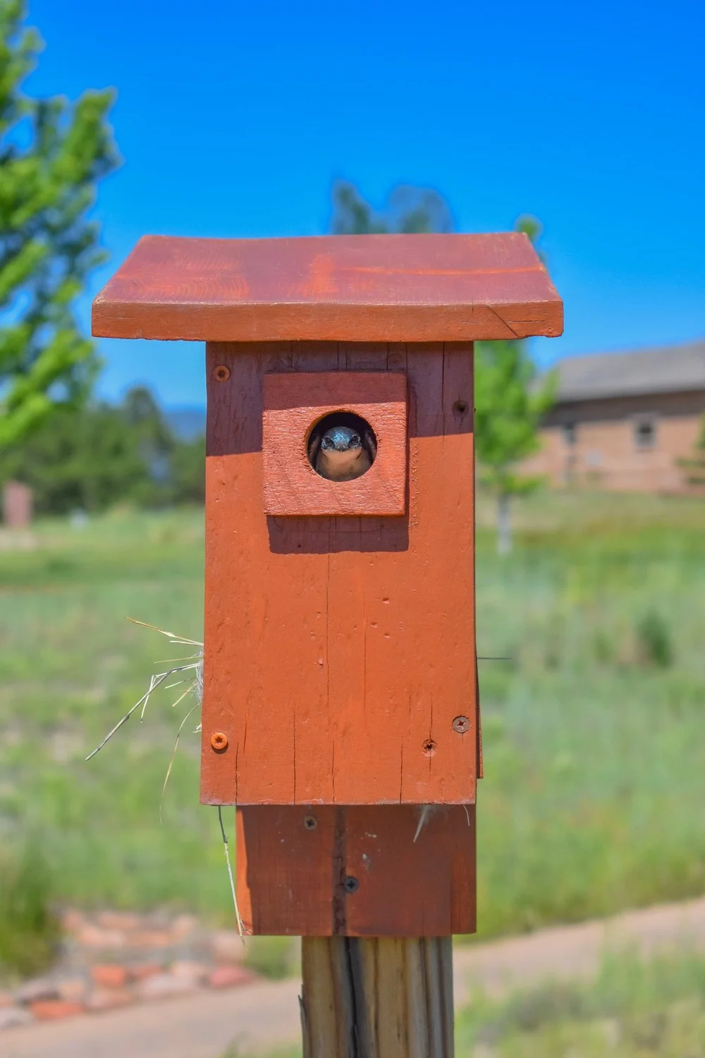 audubon certified course 
