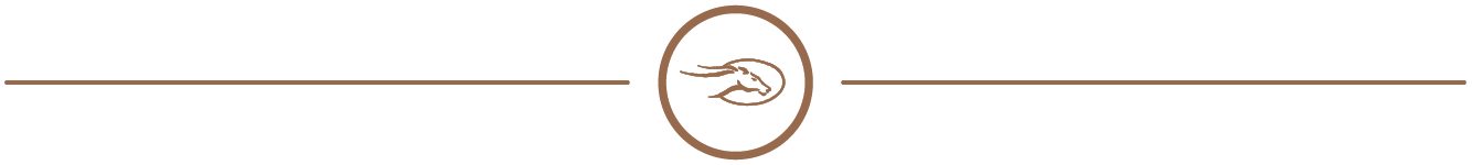 flying horse icon