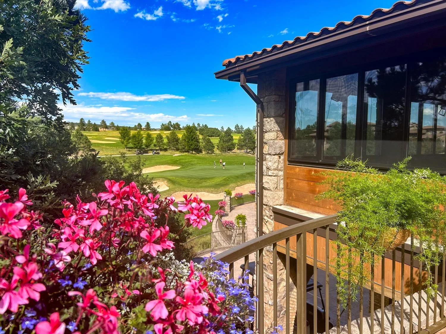 exterior of blooming flowers, golf course green