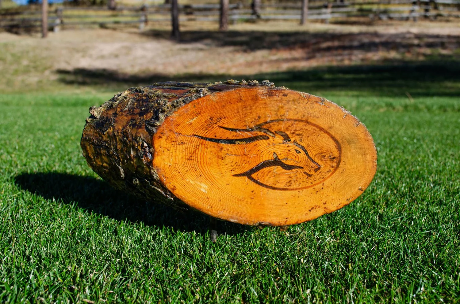 flying horse North golf