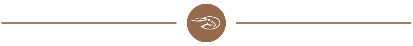 flying horse copper icon