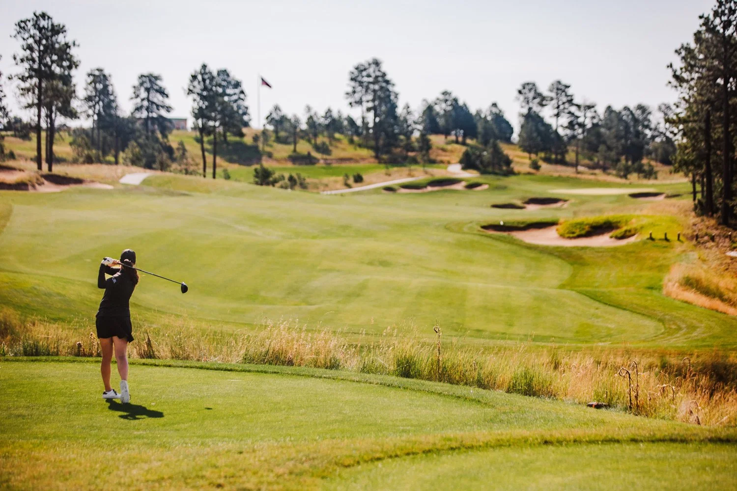 A person playing golf on a course with green grass, trees, sand traps, and a flag in the distance.