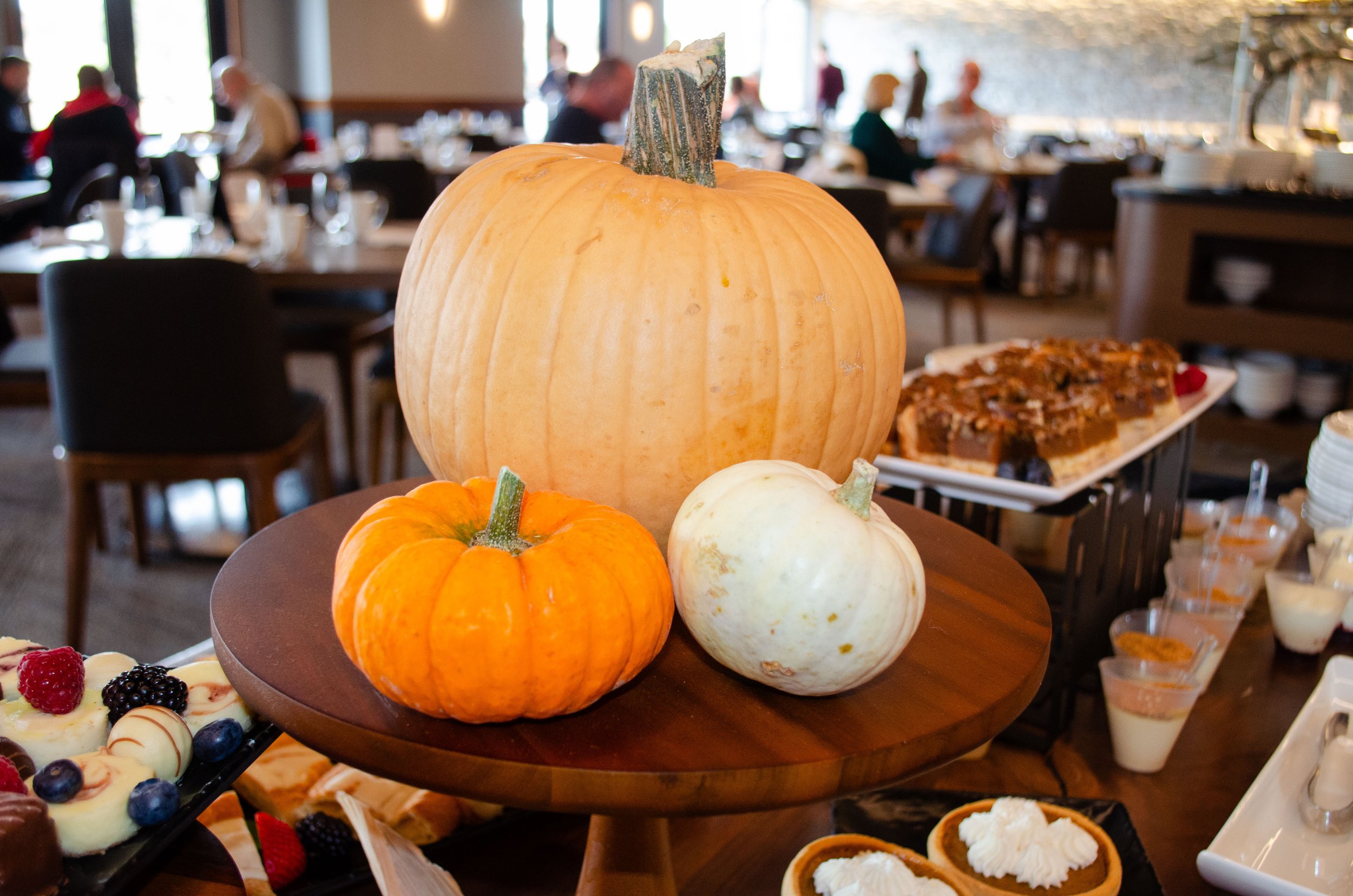 thanksgiving at flying horse