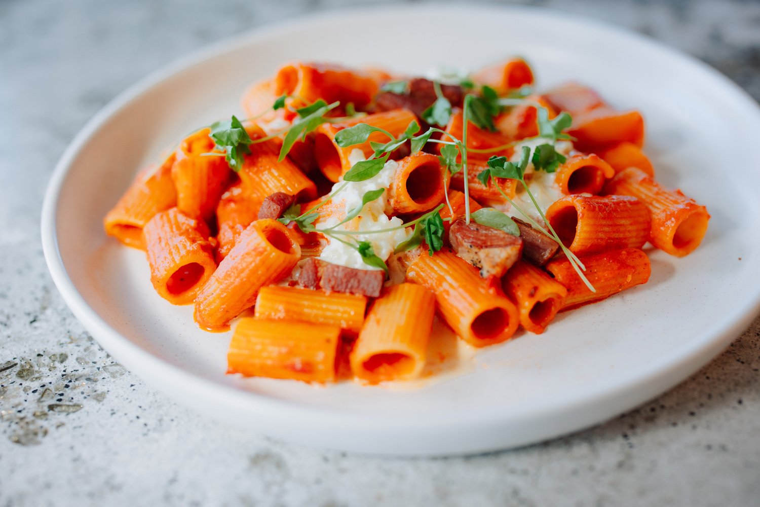 Mezze Maniche alla Vodka – calabrian chili, vodka sauce, crispy pancetta, stracciatella