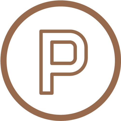 parking icon