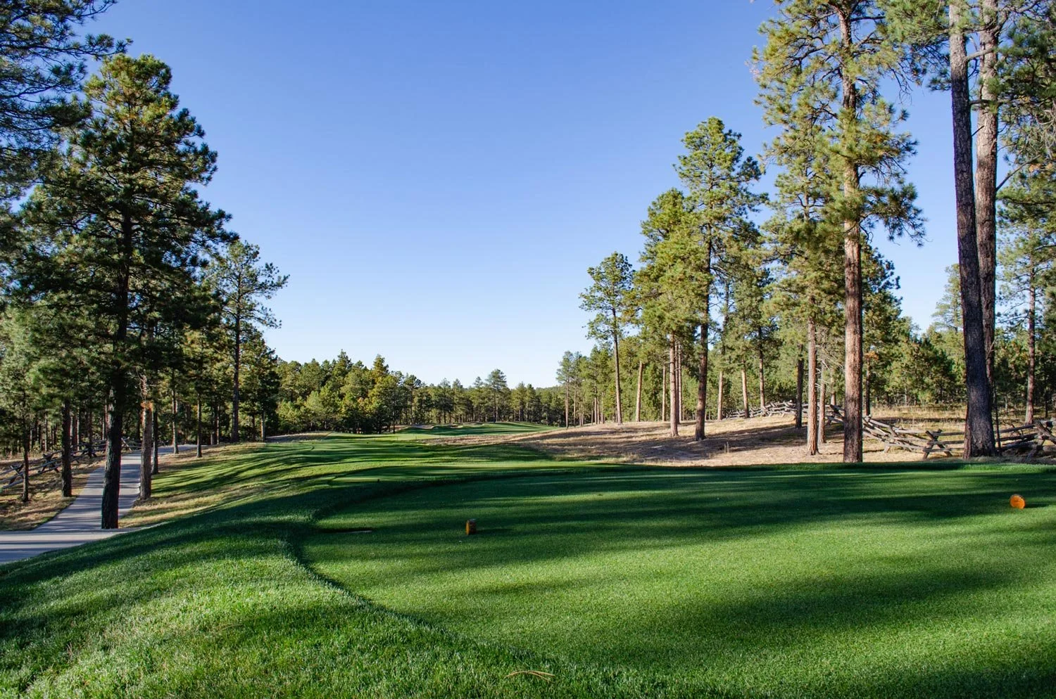 flying horse north greens with forest views 