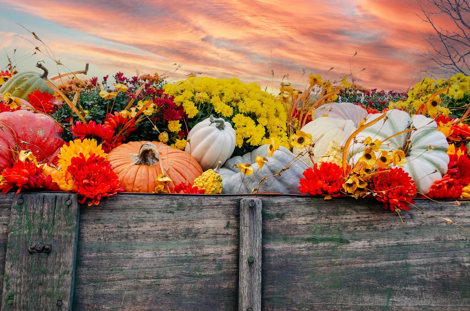 fall wagon