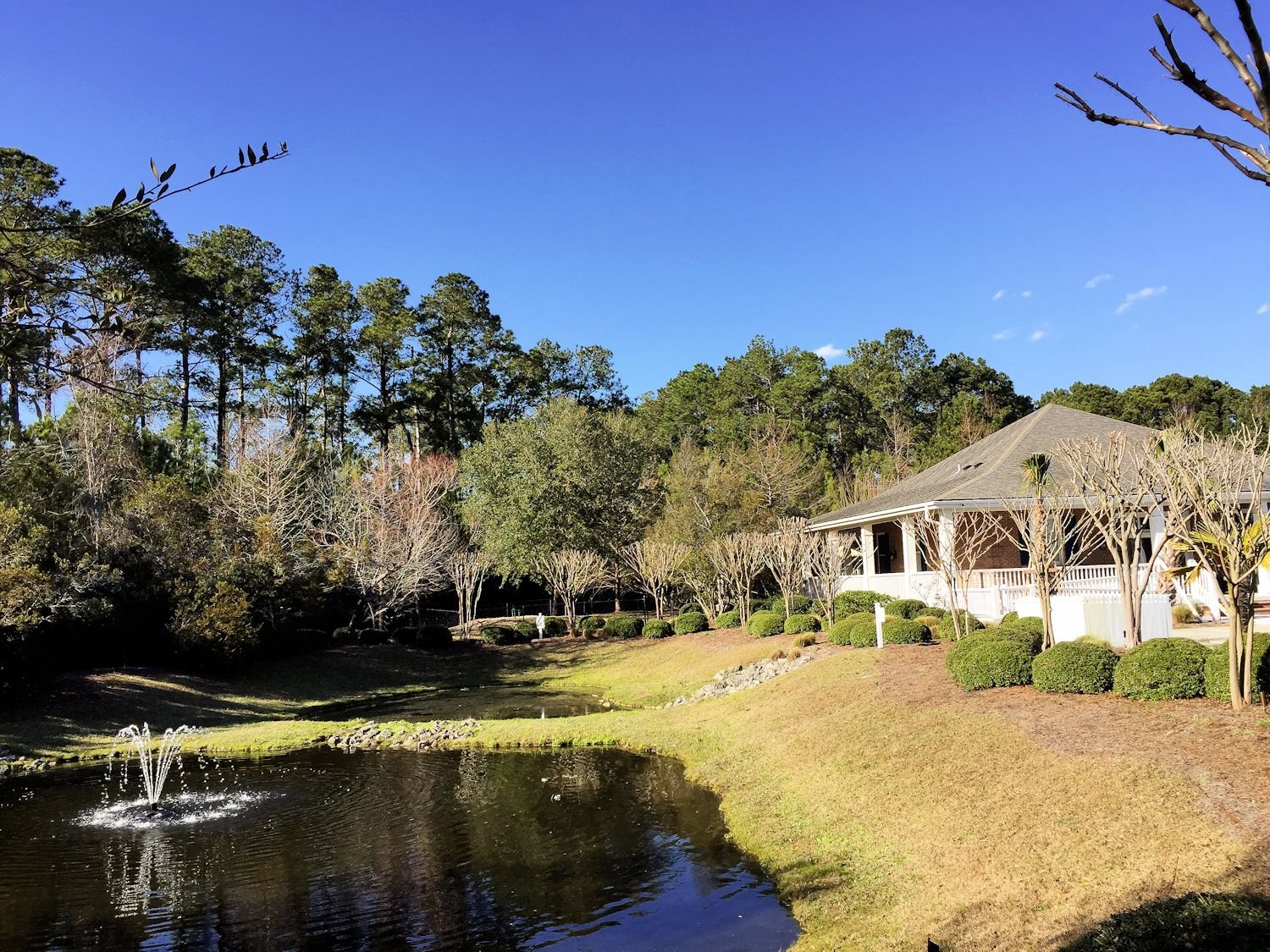 Marsh-Oaks-Clubhouse-and-Pond.jpg