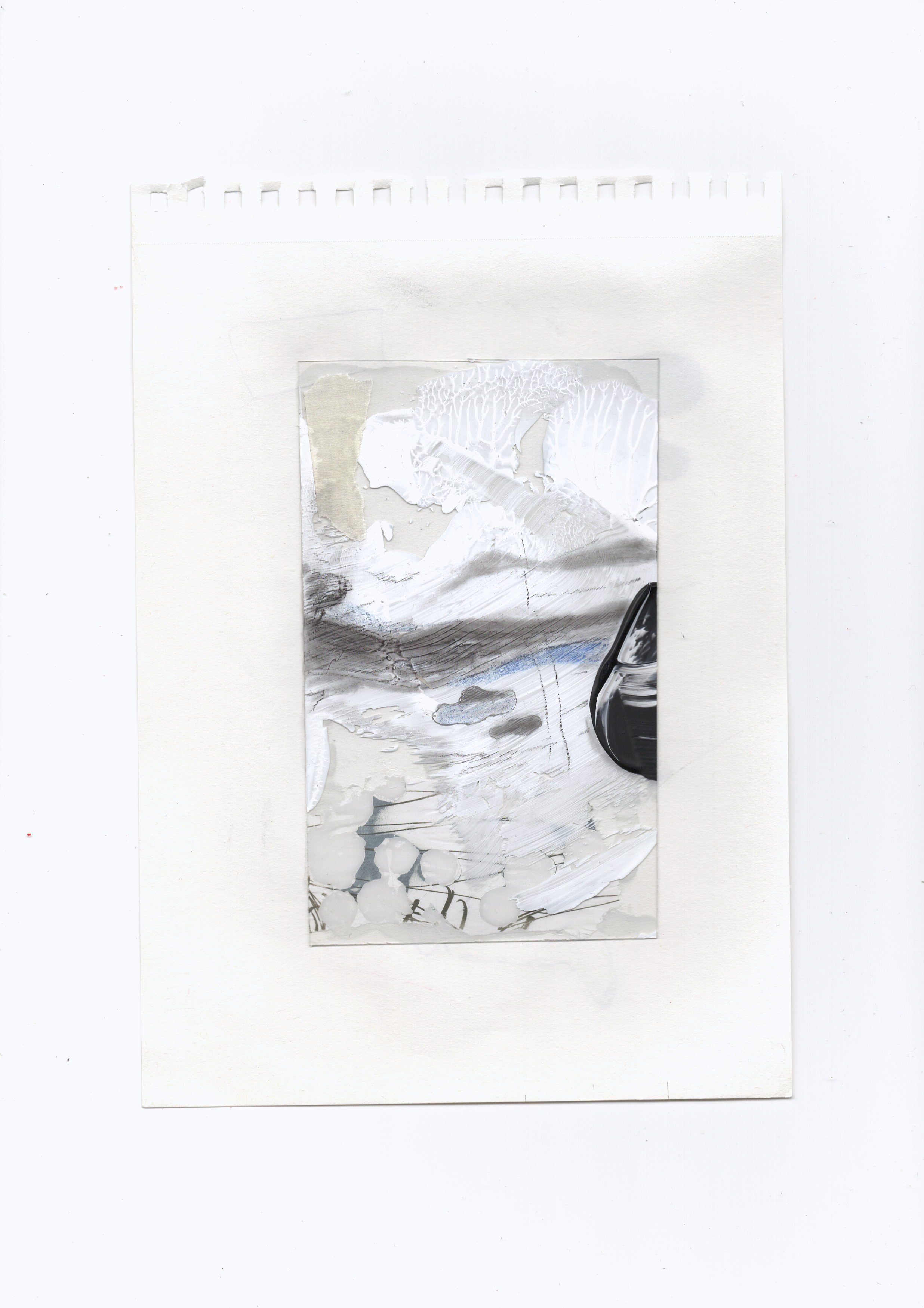 2021-02-20-0005.jpg