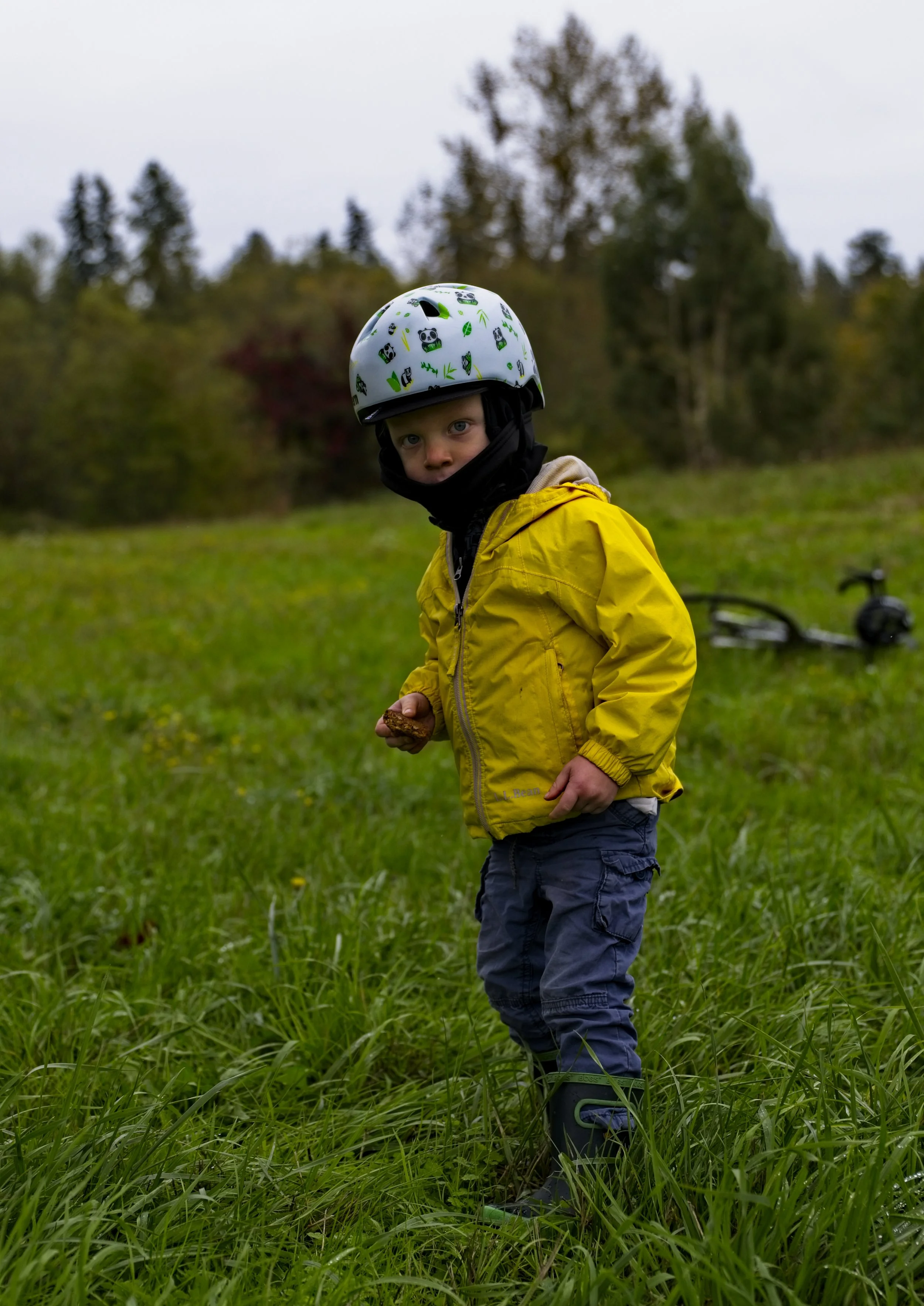 Fresh Air Bainbridge Oct 2020.jpg