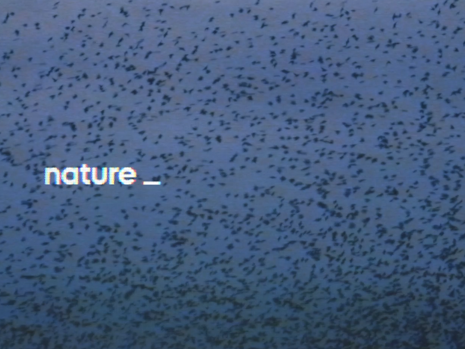 UN / Nature's Rights