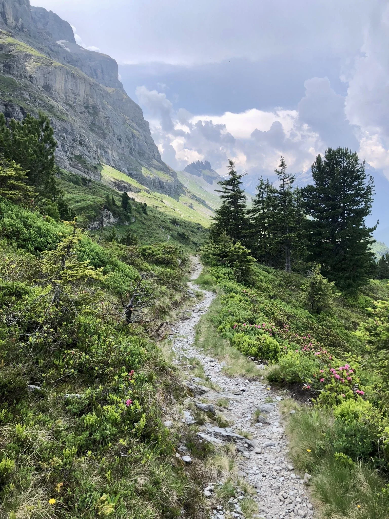 Yoga und Wandern in Wergenstein / Naturpark Beverin 