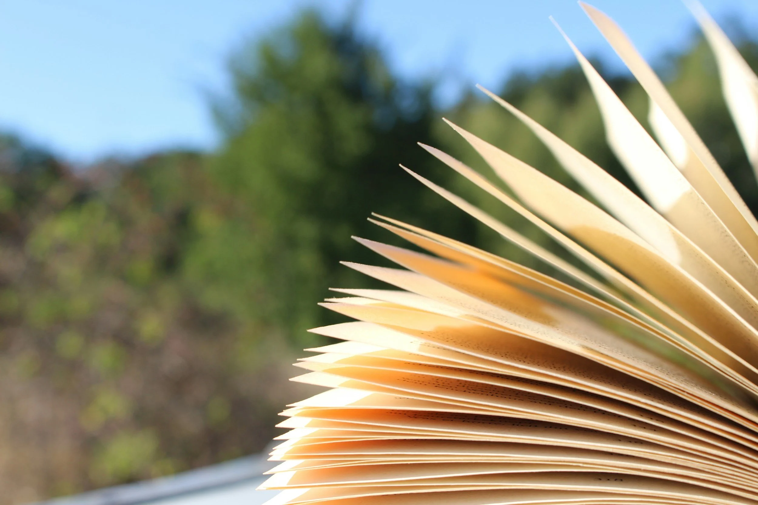 The Spiritual Practice of Reading Across Differences