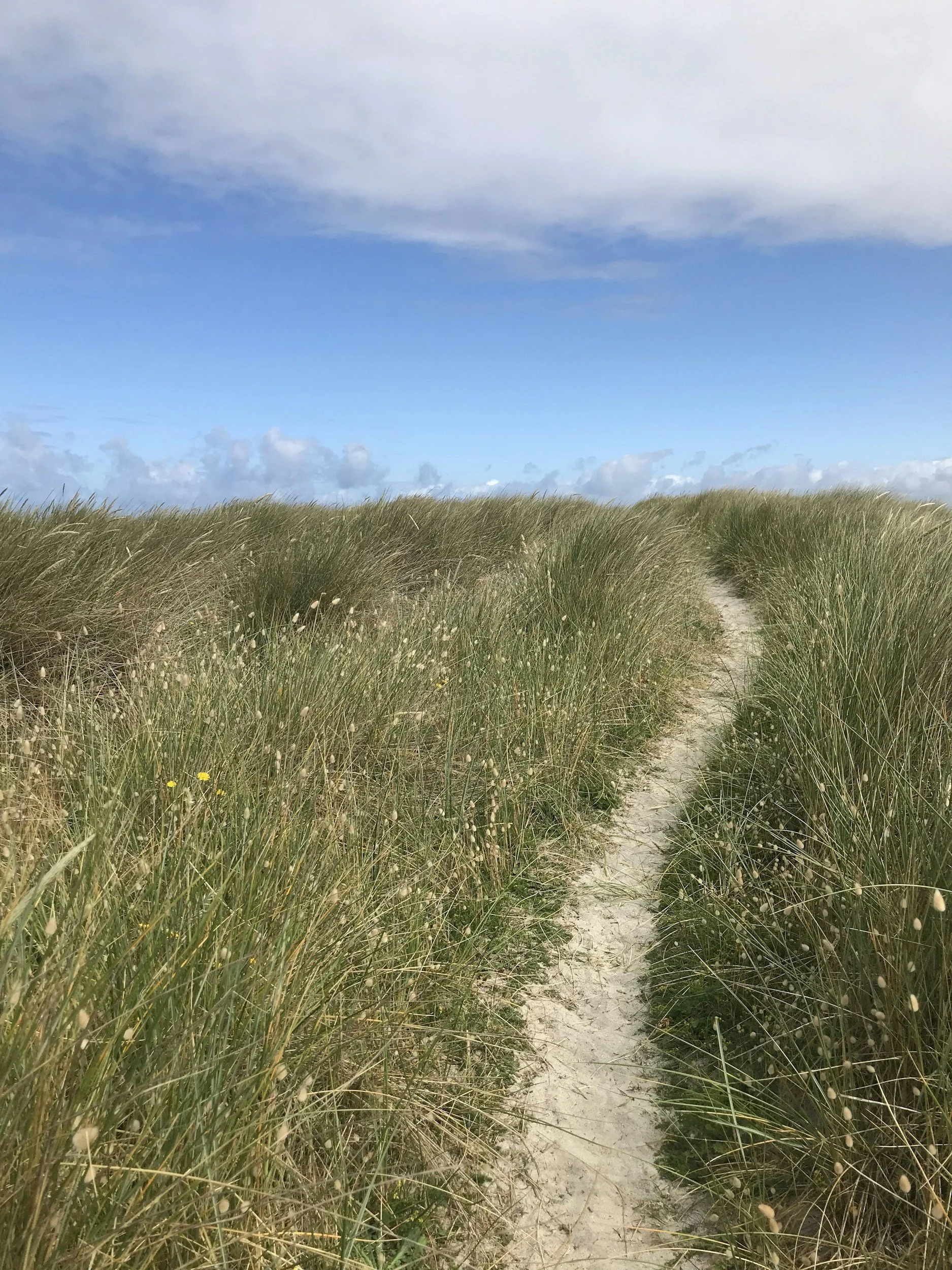 The Slow Work of Seasons: Meeting God in Cyclical Time