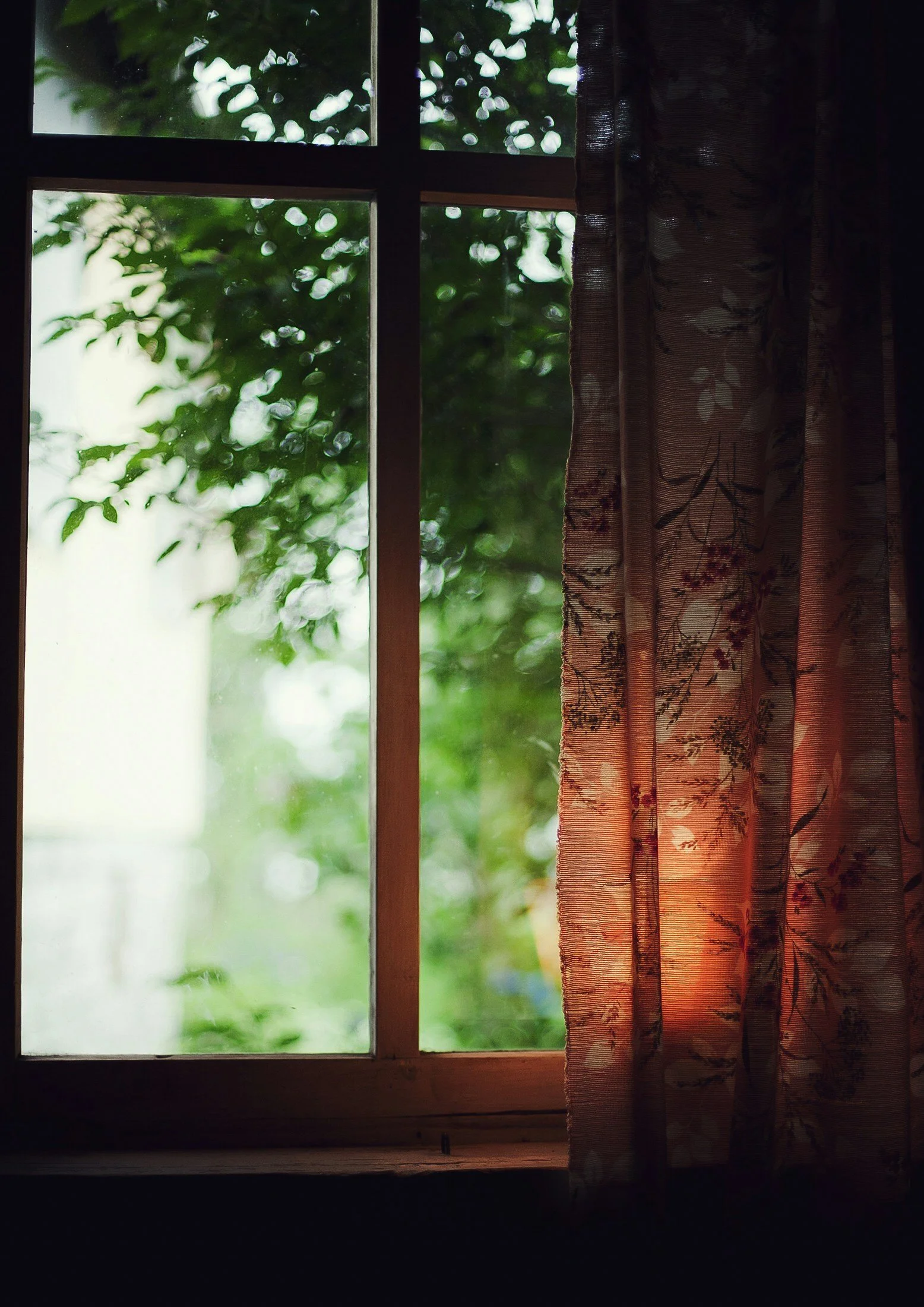 A Slower Way: Cultivating Intentional Presence in Everyday Life