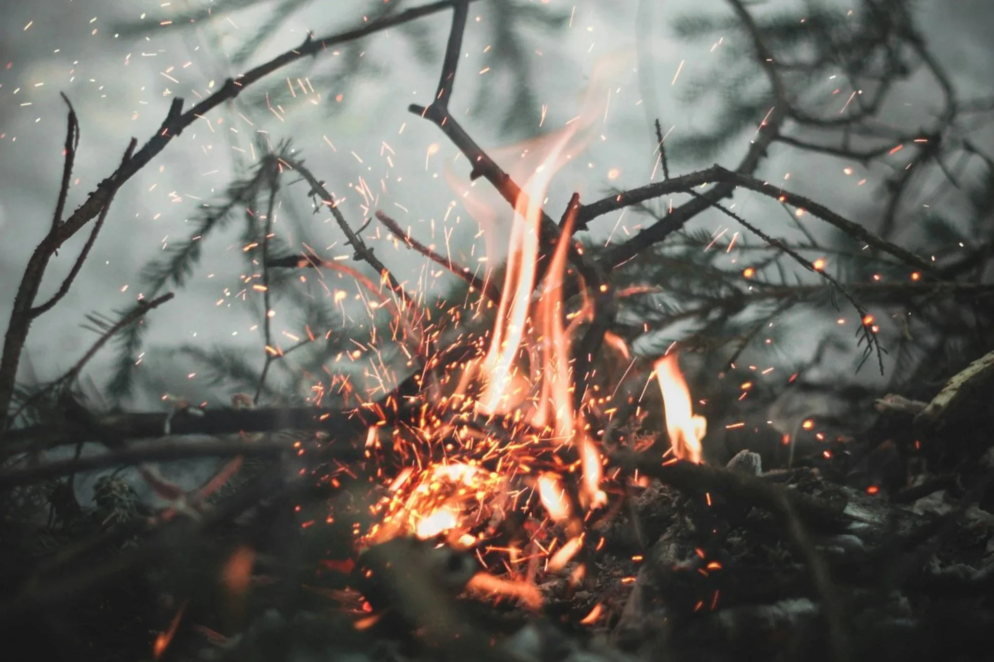 Breath, Wind, and Flame: The Transformative Work of the Spirit
