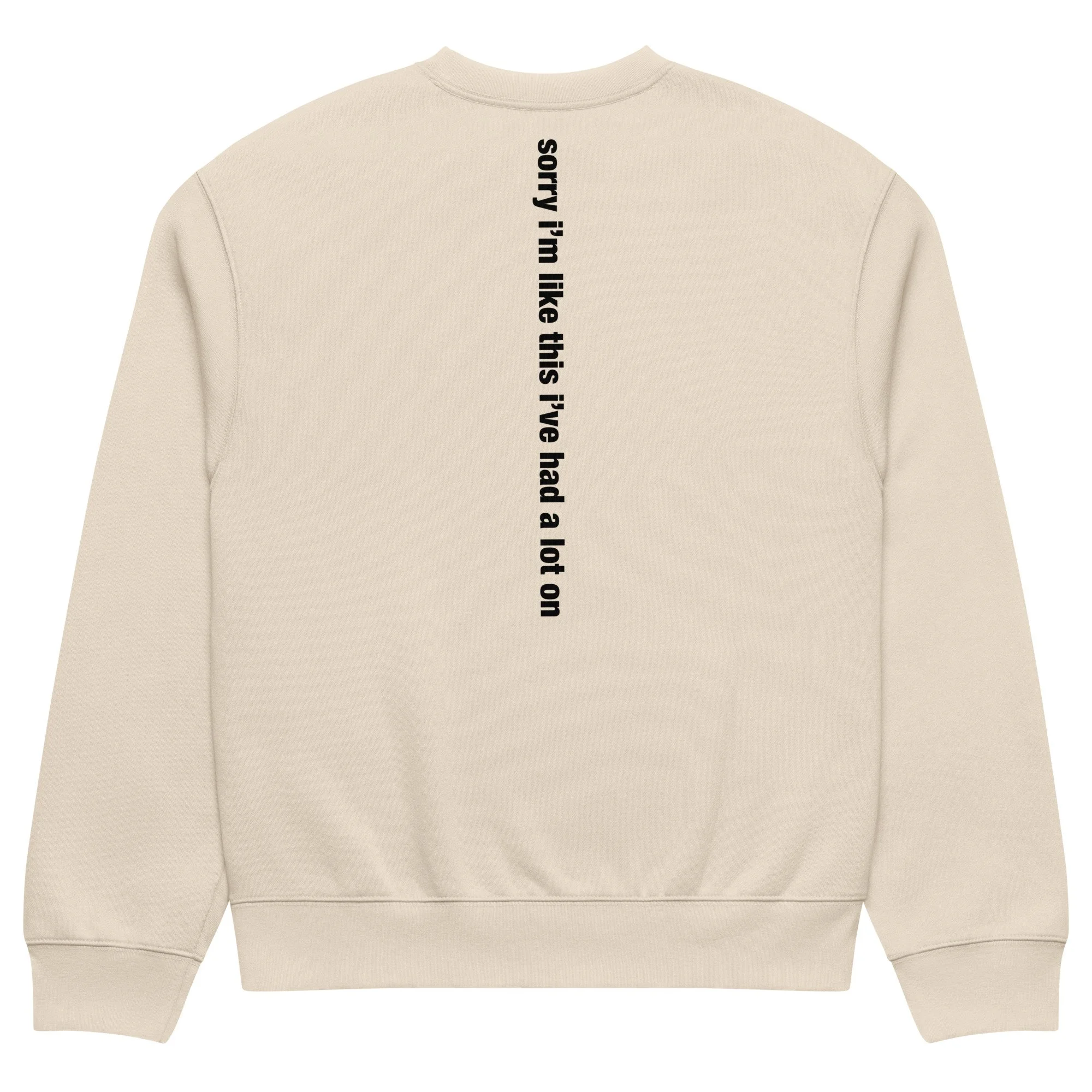unisex-oversized-heavyweight-sweatshirt-dust-back-6a84ad4075519.jpg