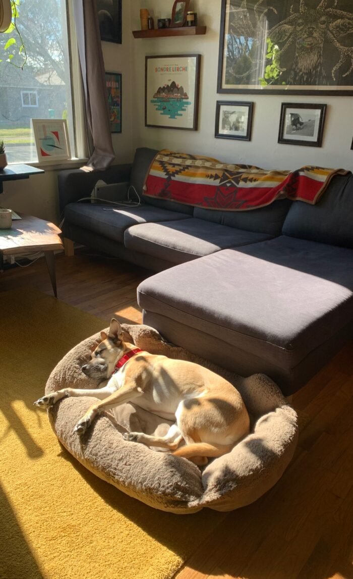 TrumanSunshine-700x1147.jpeg