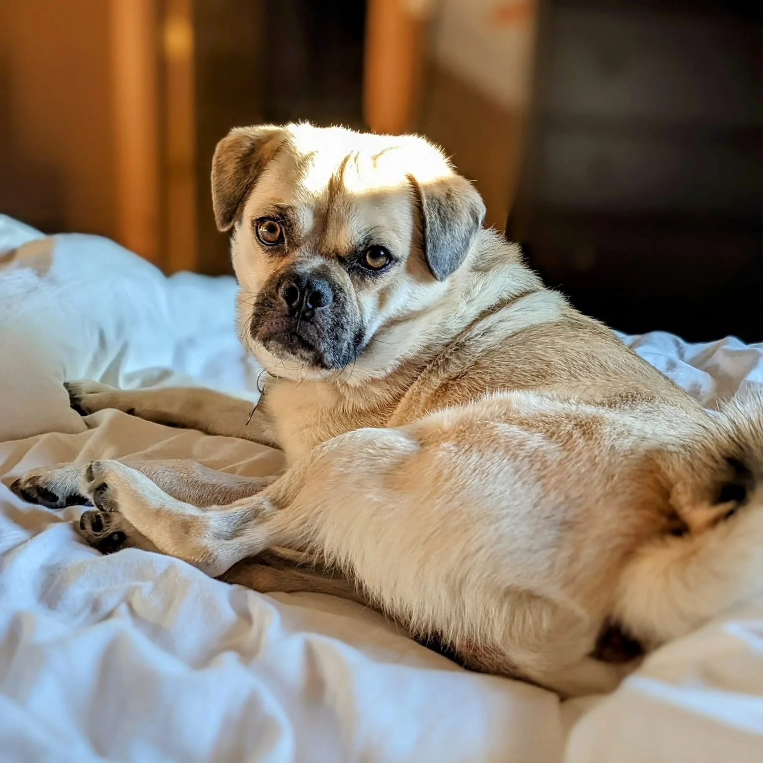 Smokestack Lightning