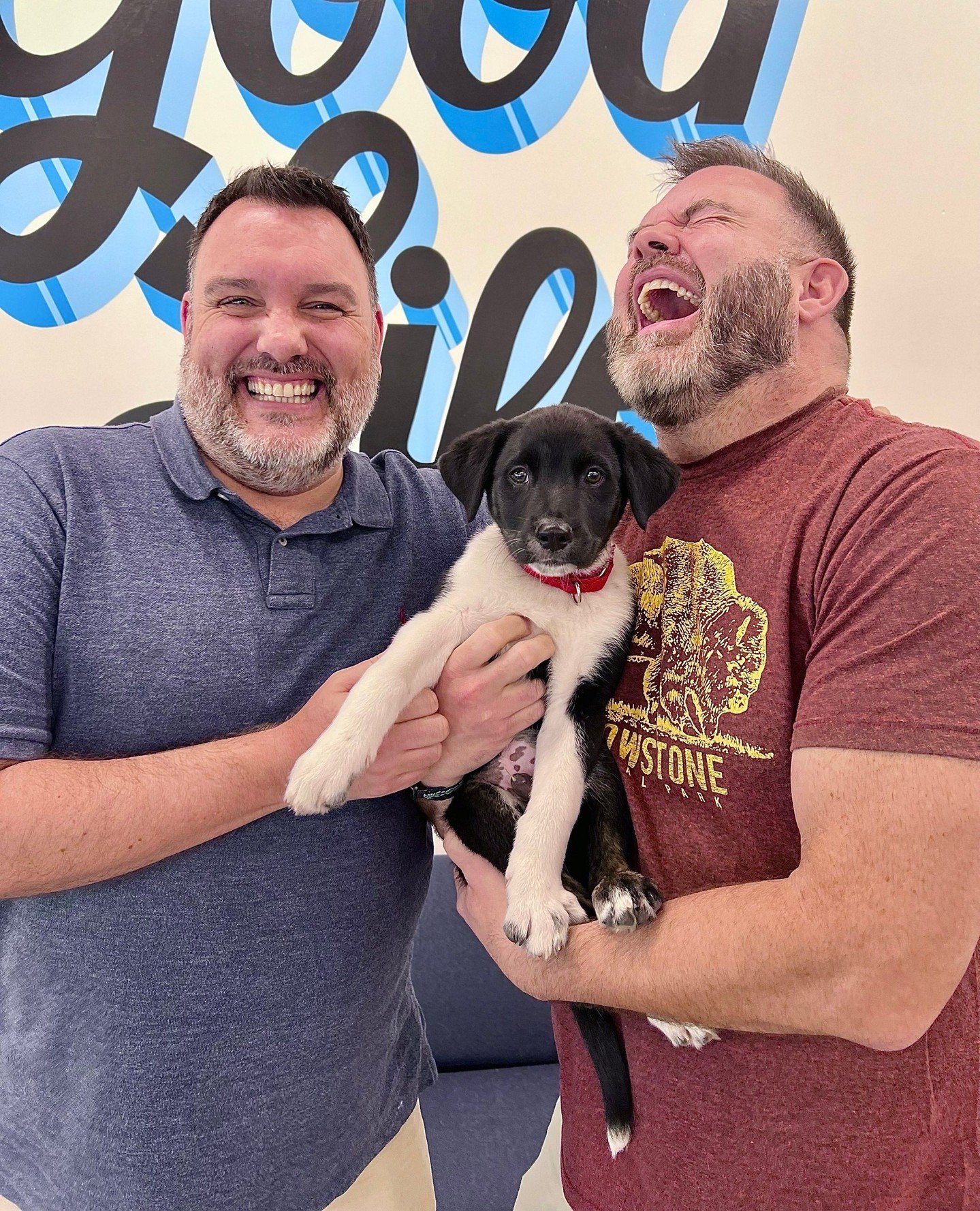 This could be you at All Tails at One Time this Saturday &ndash;&ndash; but only if you submit your adoption application by 12PM today! ⁠
⁠
Big congrats to our Barbie Puppies Allan and Tanner on finding their humans. Welcome to The Good Life, y'all ?