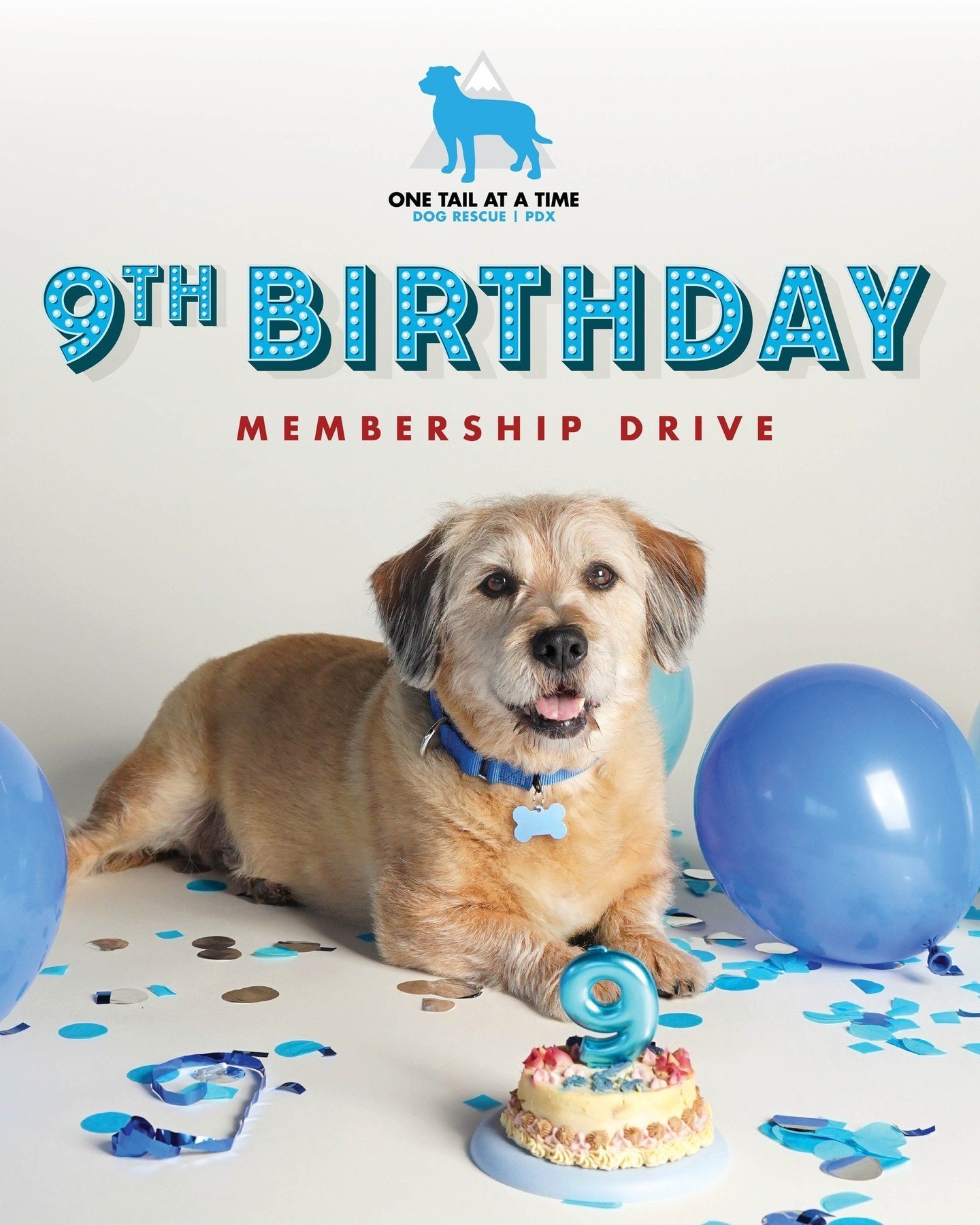 Happy 9th Birthday to us 💙⁠
⁠
Today marks 9 years of lifesaving work for OTAT PDX &ndash;&ndash; together, we've welcomed over 1,900 dogs to the Good Life! To celebrate, we're officially kicking off our 9th Birthday Membership Drive.⁠
⁠
Will you mak