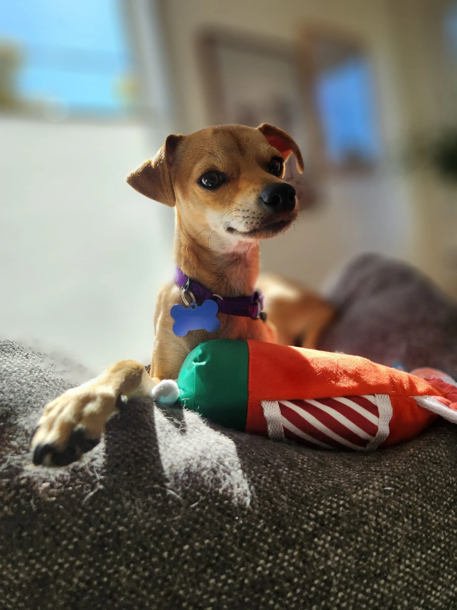 Kipper