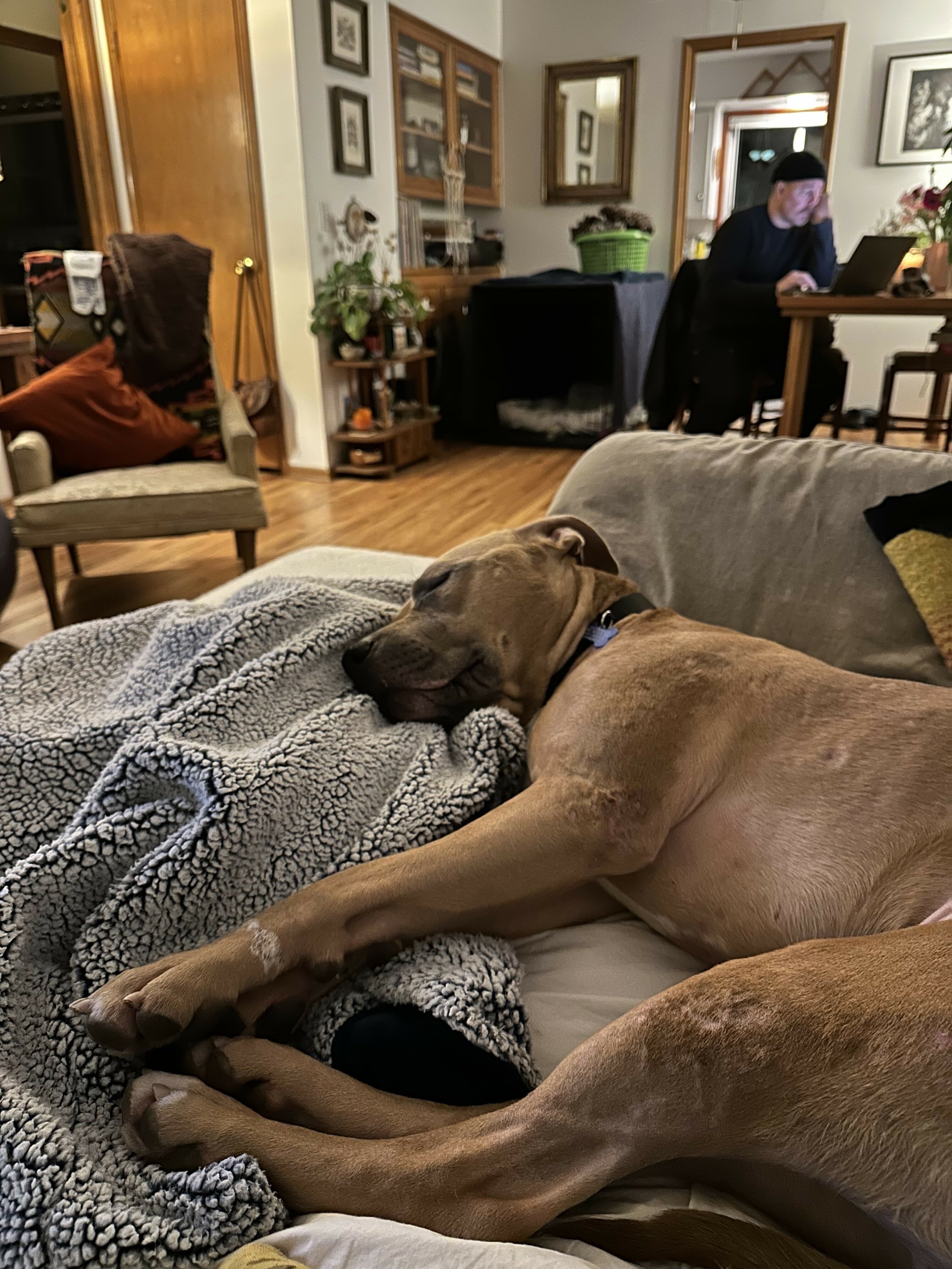 Carawaysleeps.jpeg