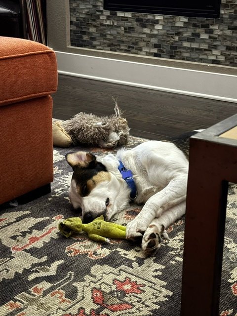 Pennysleepswithtoy.jpeg