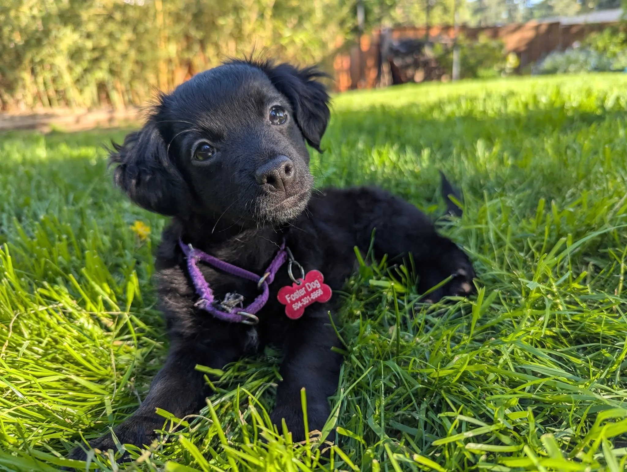 Edgar