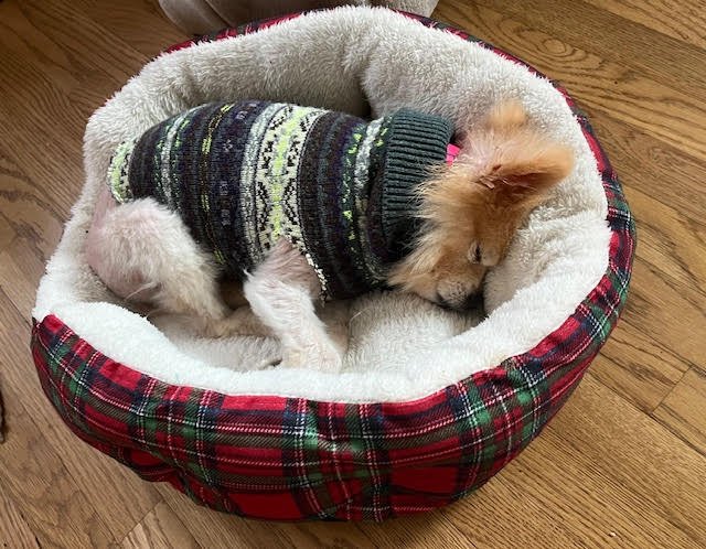 Macksleepingangel.jpg