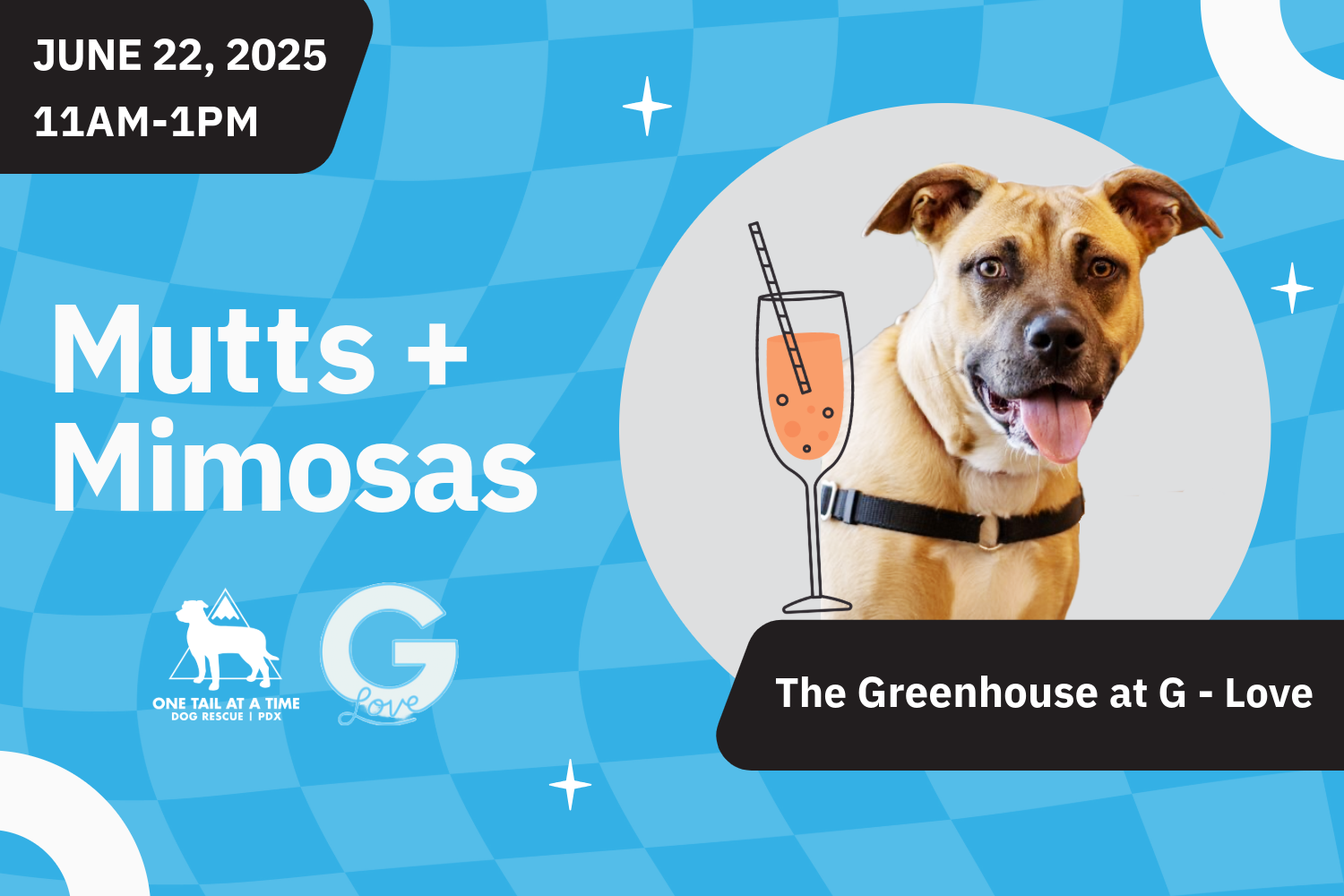 Mutts & Mimosas with G-Love