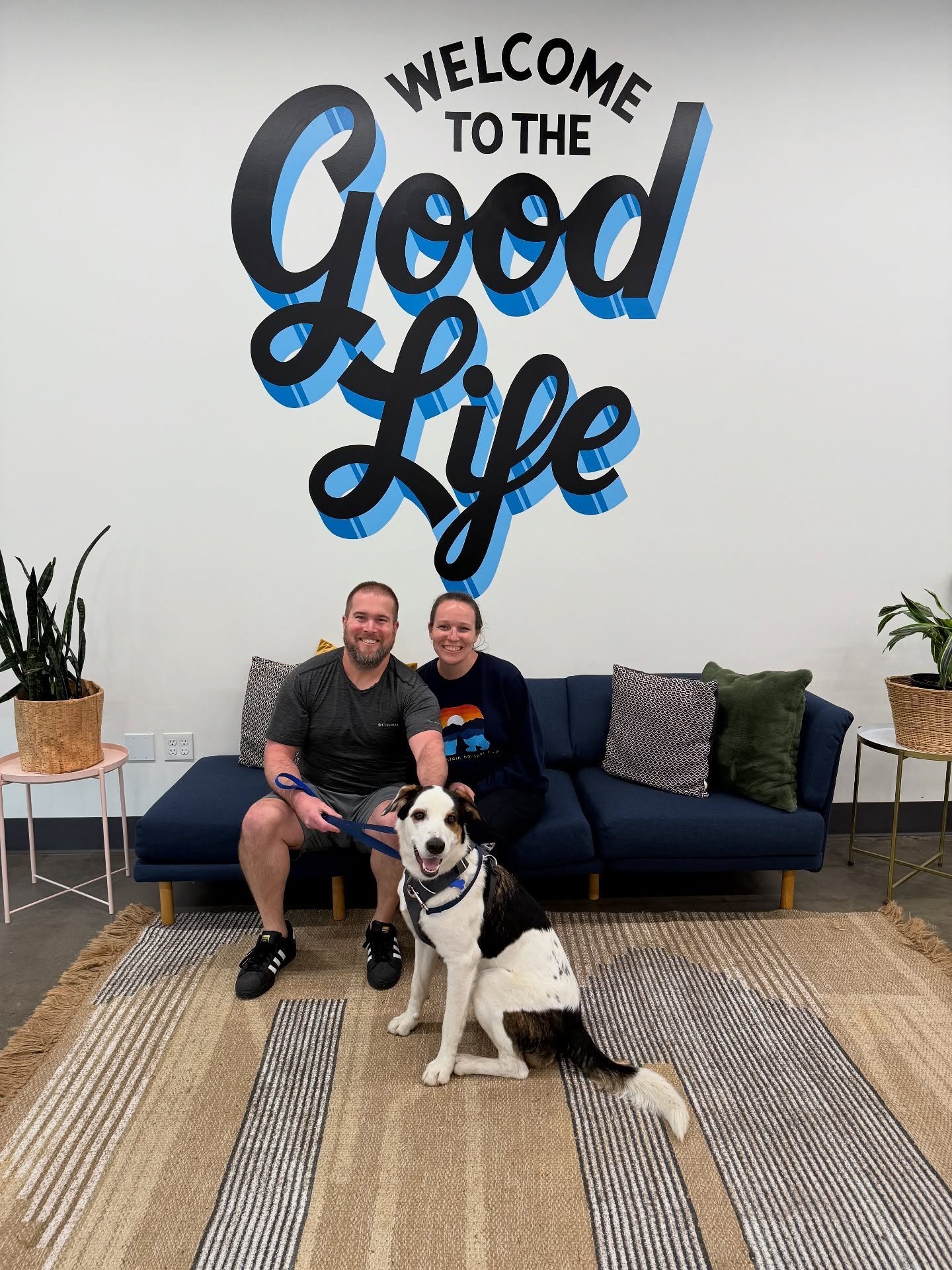Our Haute Dog Fashion Show may not be an event anymore, but Penny worked the camera nonetheless during her Happy Tails photoshoot. Turns out, she was just one of several dogs who decided summer was the perfect time to glow-up. Congrats to Penny, Filb